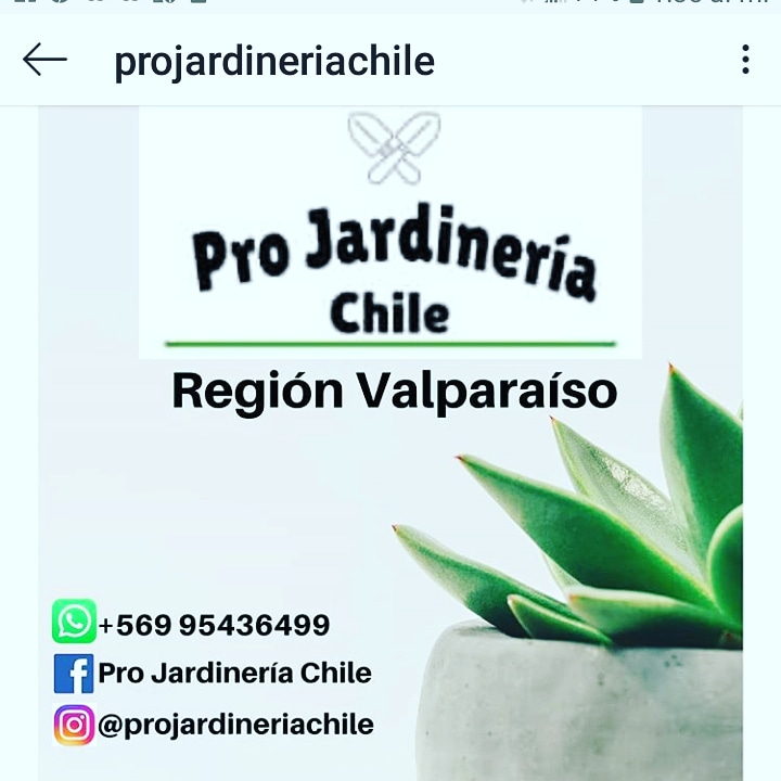 perfil-cliente